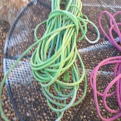 Commercial Extension Cords The Green One Is 100 Ft The Pinkish Ones Are 50 Ft Each