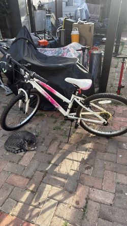 Girls 24” passage trail mountain bike $50 obo
