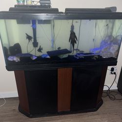 Fish Tank With Stand.