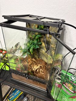 Reptile tank