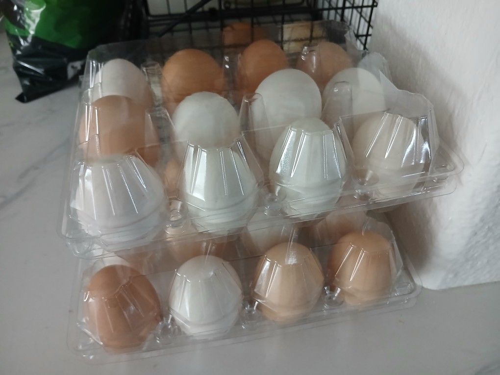 Fresh Chicken Eggs