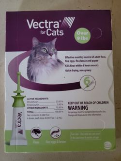 Vectra flea prevention 4 cats