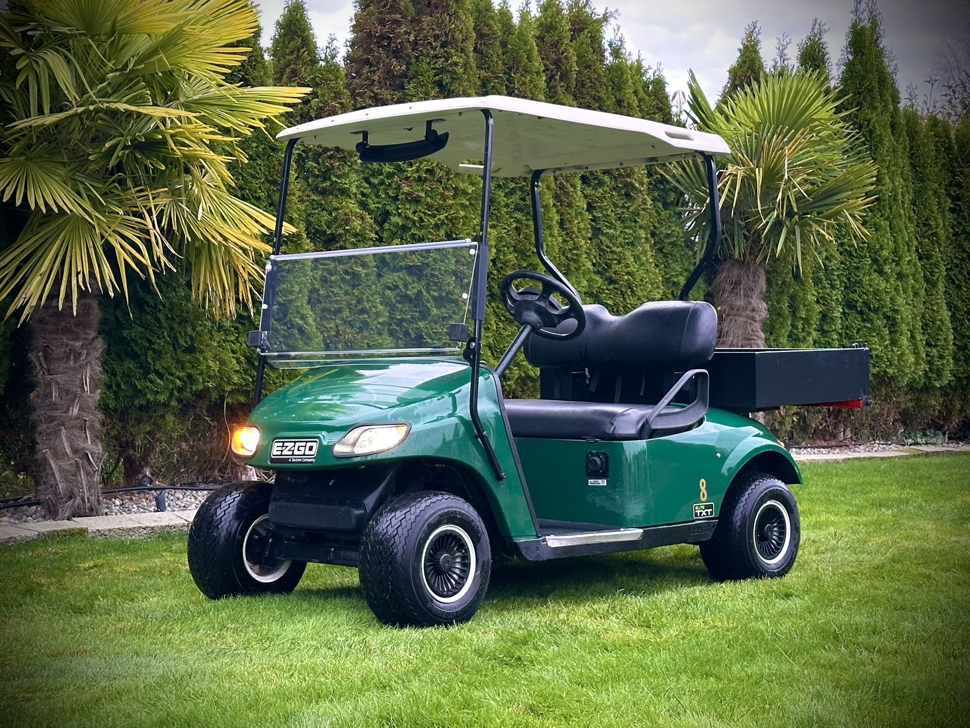 2001 🔋 LITHIUM EZGO TXT GOLF CART