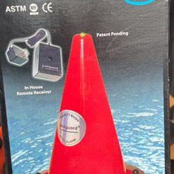 Above Ground Pool Alarm