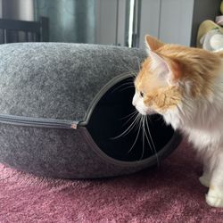 Big Bed For Pets / Toy For Pets