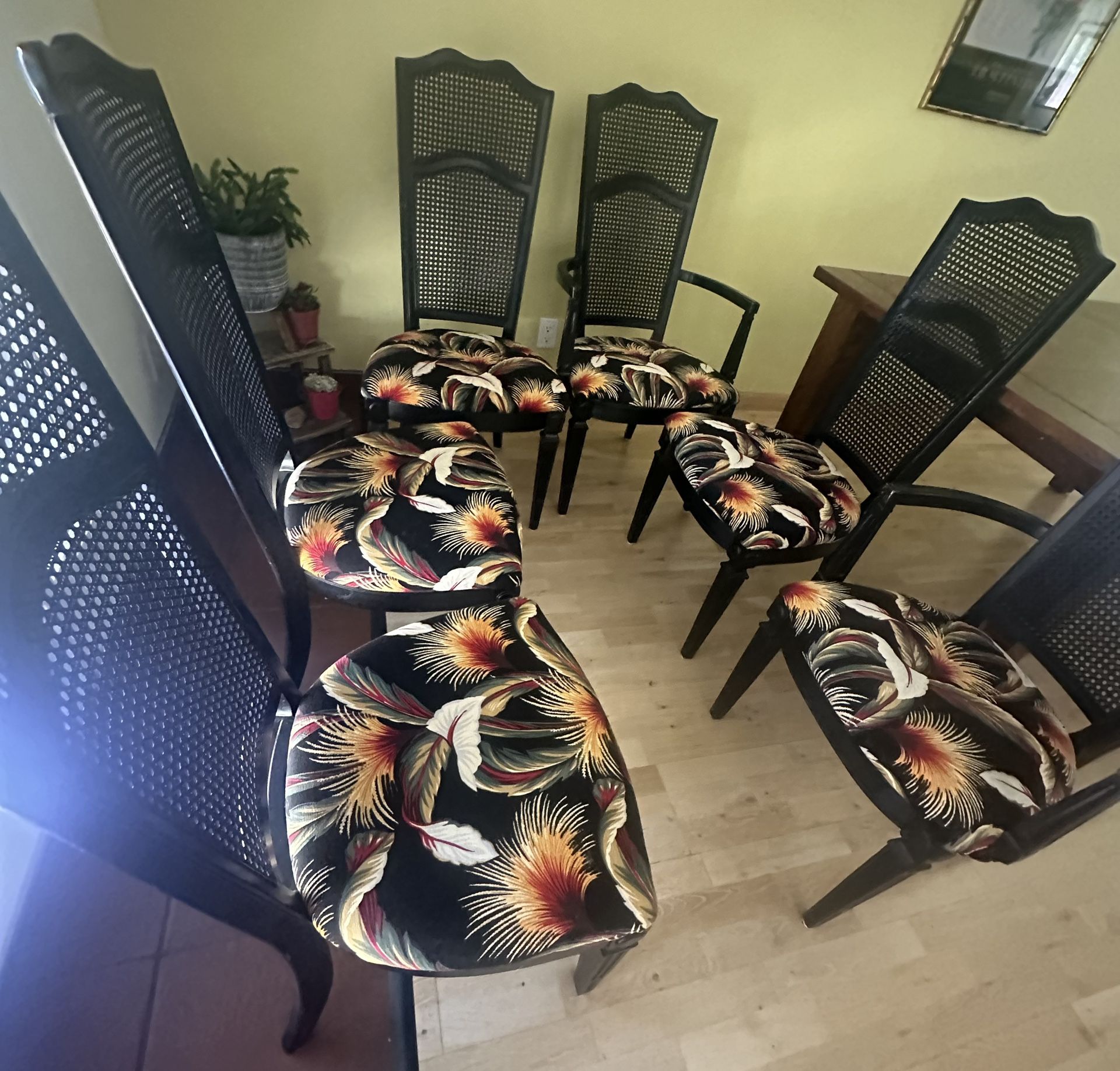 Set of 6 High Back Black Cane Dining Chairs w/ Hawaiian Pattern Upholstery