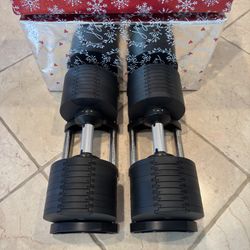 80Ib Adjustable Dumbbells 