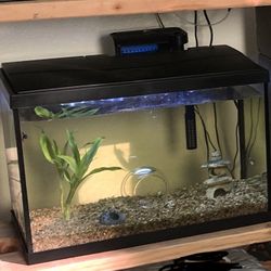 20 Gallon Fish Tank 