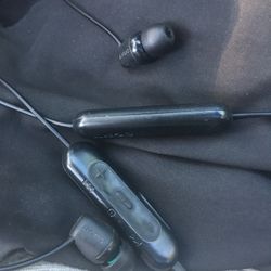 Sony WI-C200 Bluetooth Earbuds 