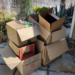 Free Boxes