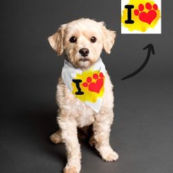 Scarf  For Dogs & Cats