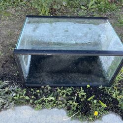 20 Gallon Tank, Light, And Half Top