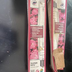 Brand New 1000watt Bulb