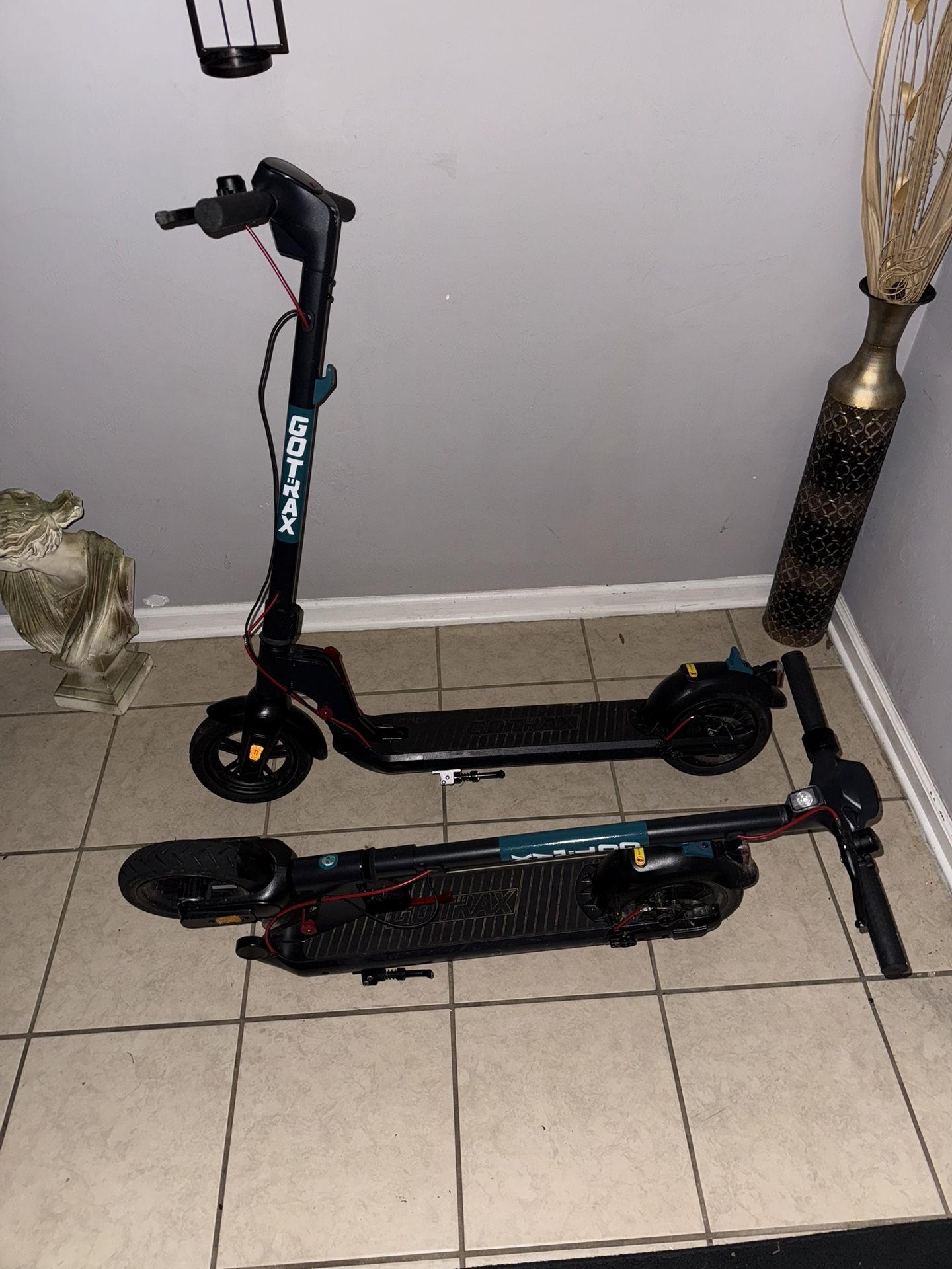 Gotrax Scooters
