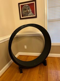 48” Cat Exercise Wheel