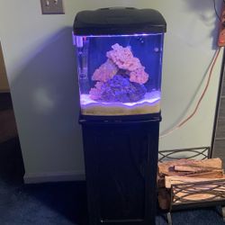 16 Gallon Bio Cube