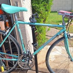 Bianchi Campion Del Italia 