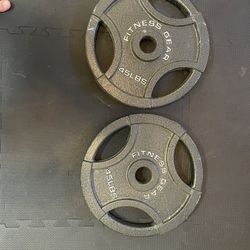 45lb Plates 