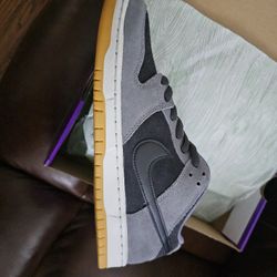 Dunk Sb 10.5