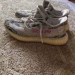 Yeezy Zebra 