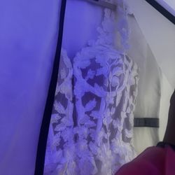 Lace Illusion Wedding Dress W/ Sleeves 