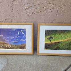 Wall Art 2 Pcs