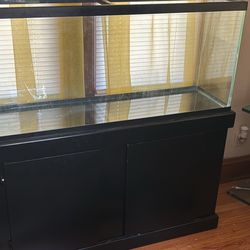  Full Fish Tank With 