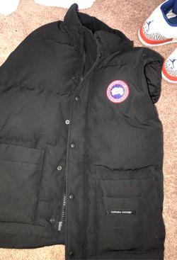 Canada goose