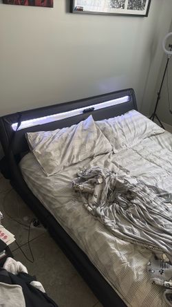 Bed