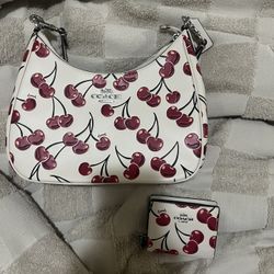 Coach Cherry Hobo Purse And Wallet 