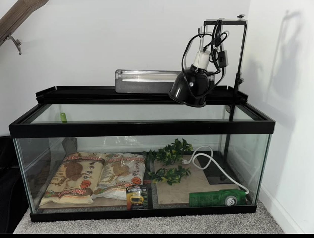 40 Gallon Breeder reptile tank Setup