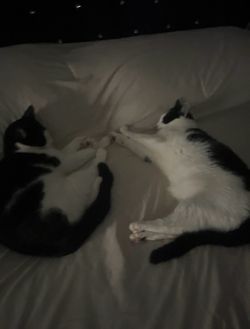 Bed covers