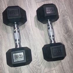 20 lb Dumbbells 