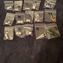 Ear Gauges
