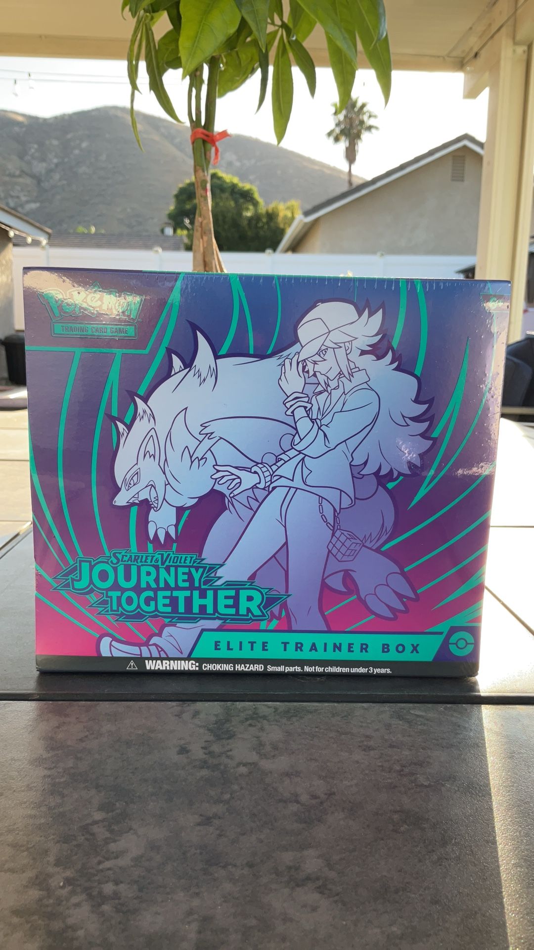 Pokemon Journey Together ETB