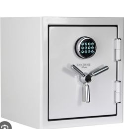 Sanctuary Reserve 1.69 cu. ft. Home & Office Safe with Electronic Lock