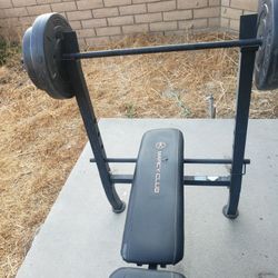 Weight Bench 