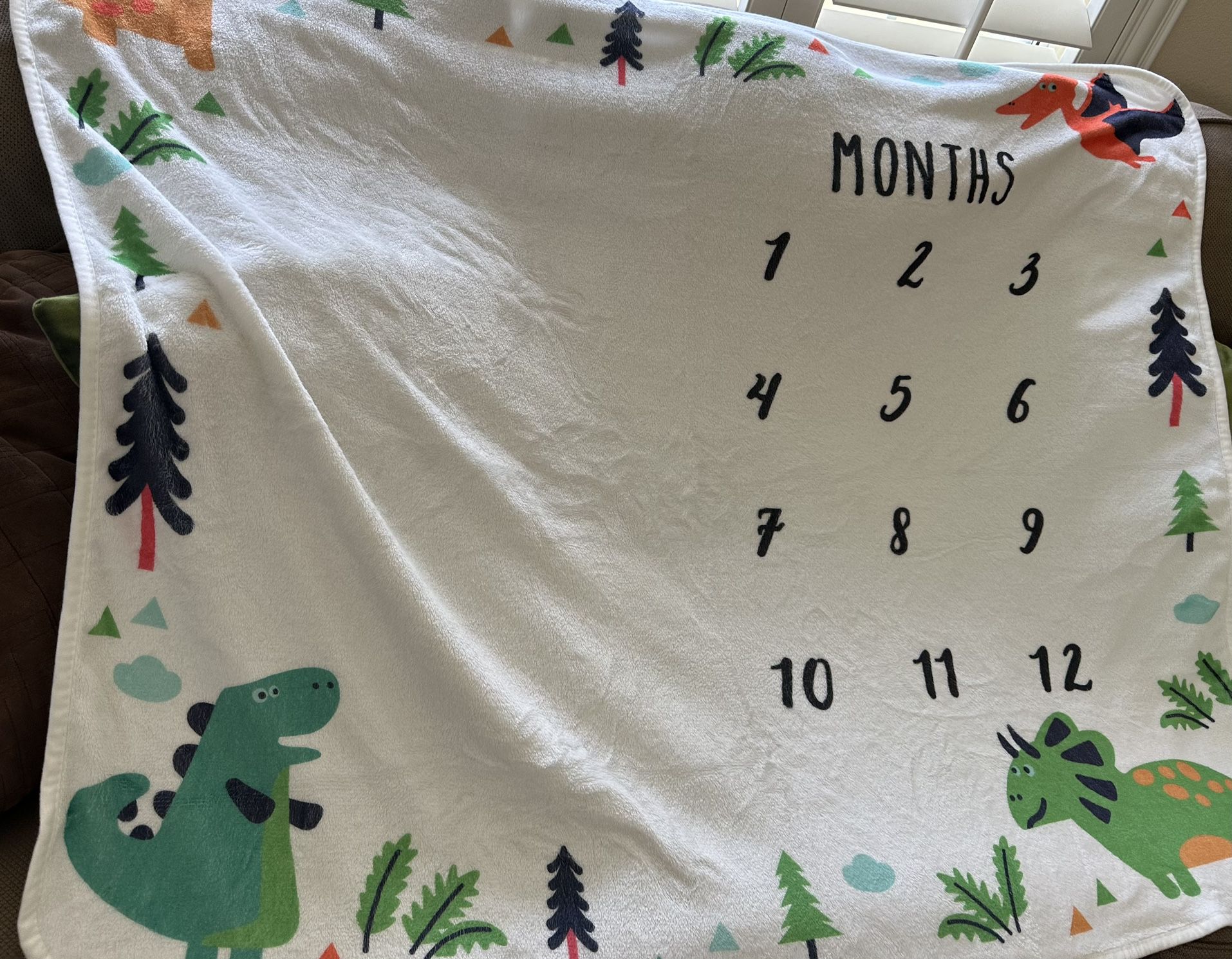Infant Milestone Blanket 