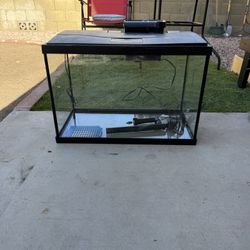 Fish Tank Aquarium