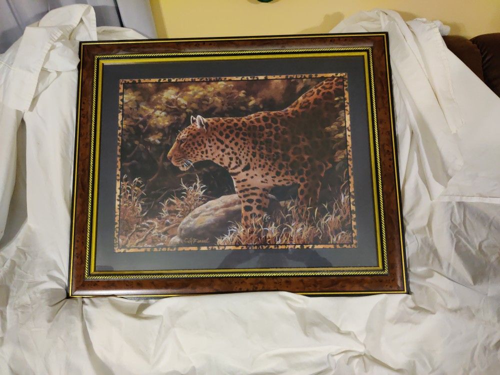 Pictures For Home Or Camp