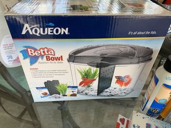Betta bowl