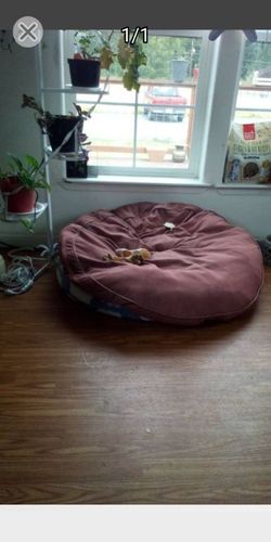 Large dog bed