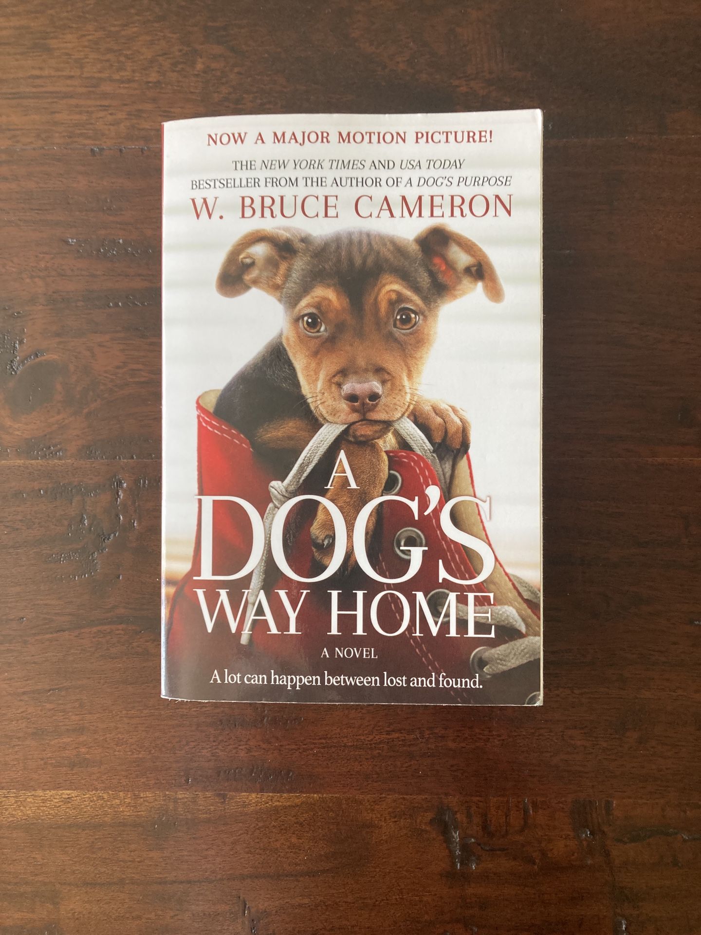 A Dog’s Way Home - W. Bruce Cameron