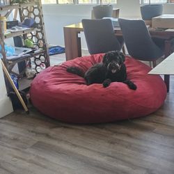 Large Red Bean Bag, Free!