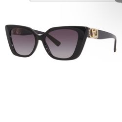 Valentino Garavani Cat Eye Acetate Sunglasses 