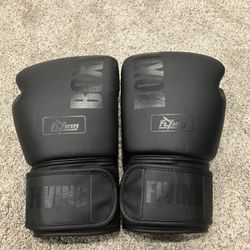 Boxing Gloves 24oz - Used Once