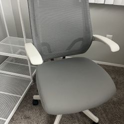 FlexiSpot Ergonomic C2 Office Chair