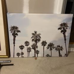 Portrait Of Palm Trees 