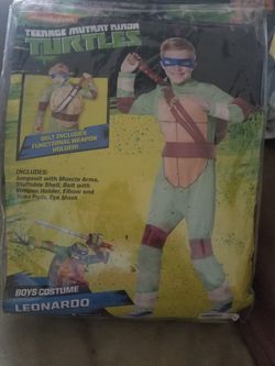 Ninja turtle costume