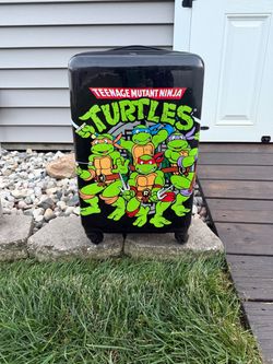 Ninja turtle suit case
